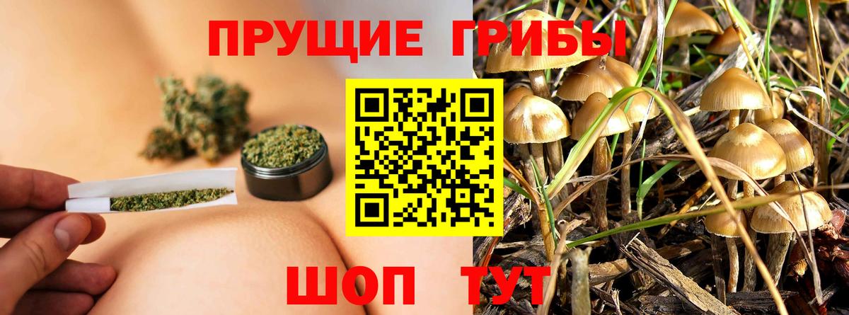 где купить наркоту  Галлюциногенные грибы Magic Shrooms  Вход с VPN  Ипатово 